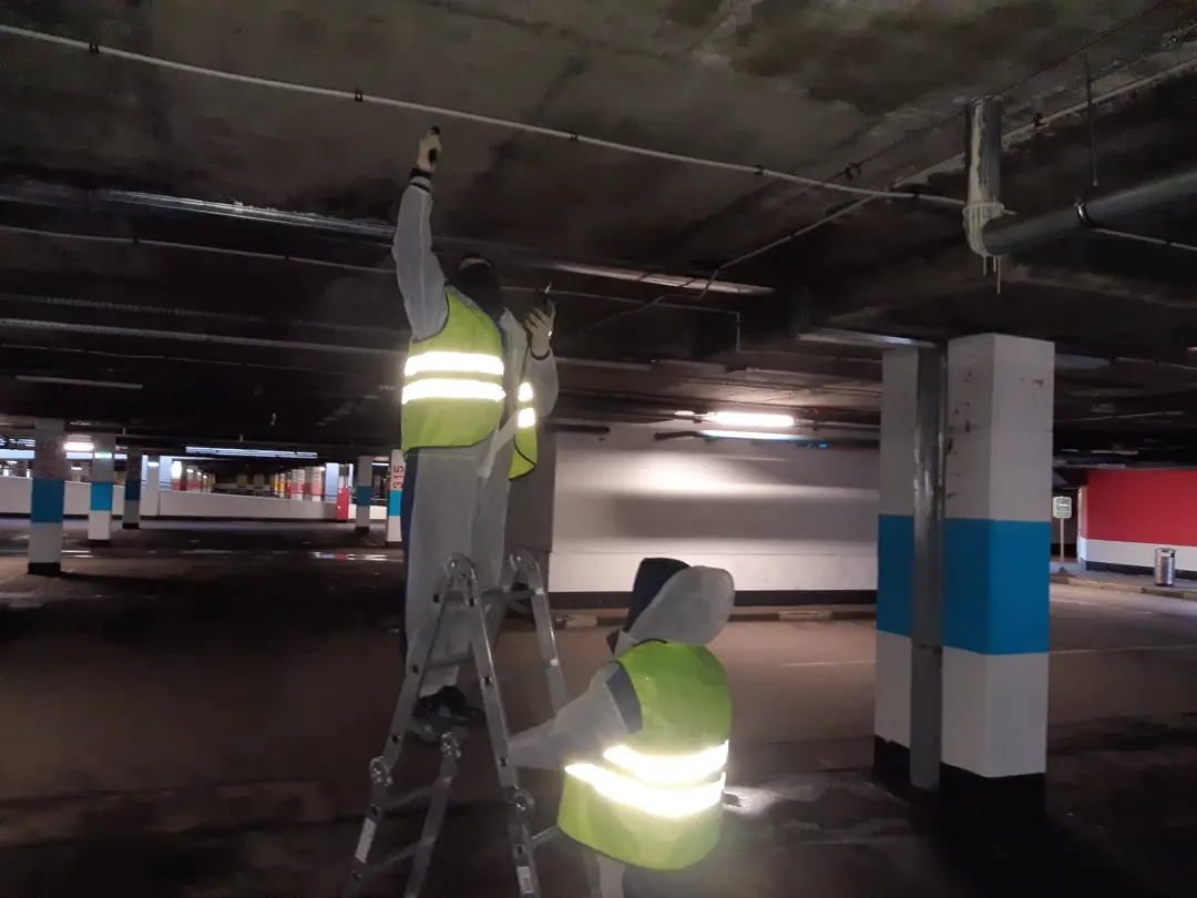 Рабочий процесс обследования