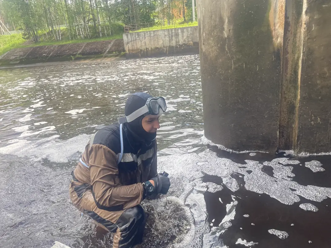 Рабочий процесс обследования